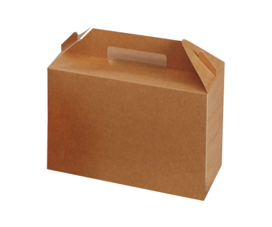Colpac Recyclable Kraft Large Carry Pack(Pack of 125)