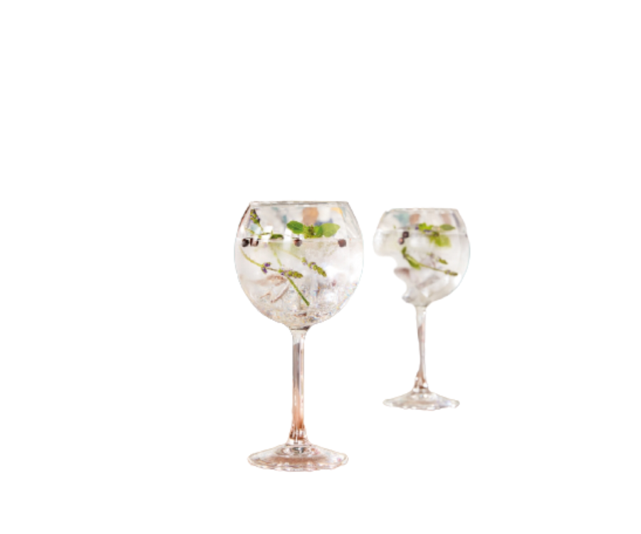 Arcoroc Vina Splendid Gin / Copa / Ballon Stem Glasses 580 ml / 20oz(Pack of 24)